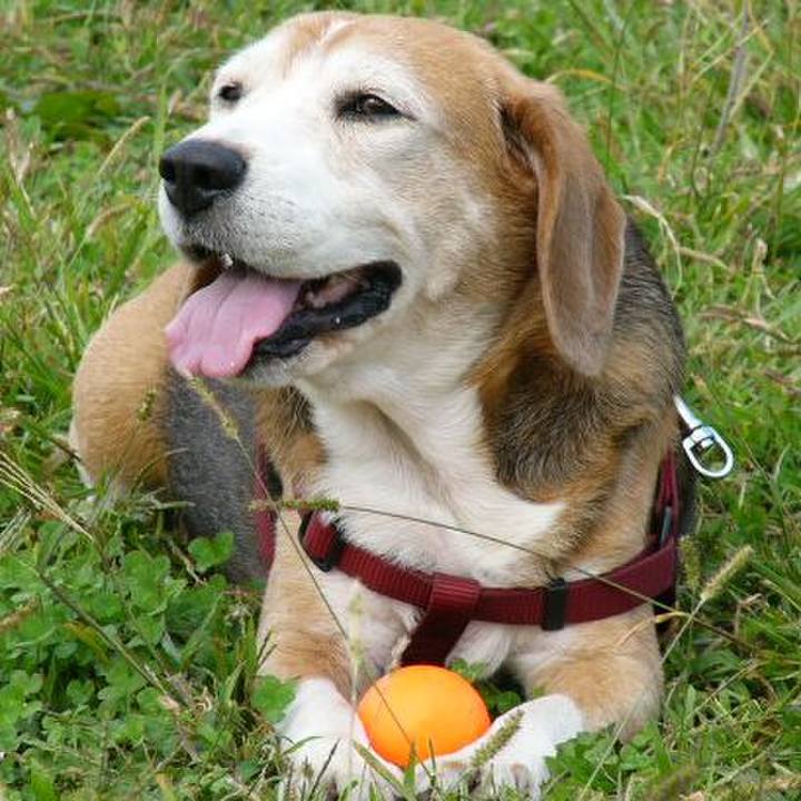 142022b9 f028 4322 8a71 c85820a9b4b9 1640305669919