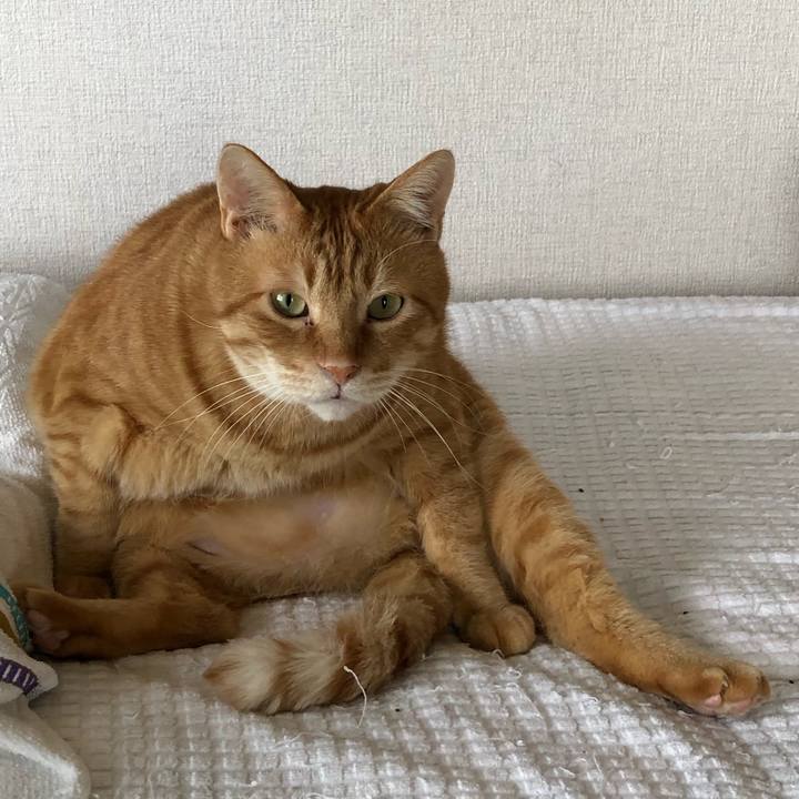 1420519d d743 44d5 85f4 da29f6050dc0 1591410288721