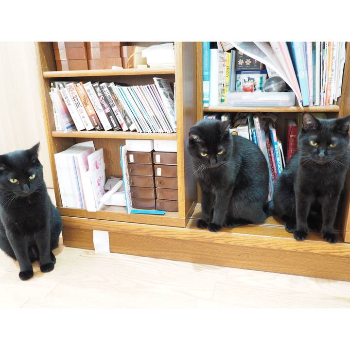 1420799f ca2e 4d37 92d2 a75fe2a17e13 1534375709442