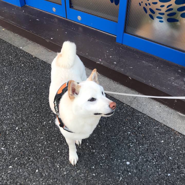 1420ce67 2eb0 4ece 944f c6dcfff4207b 1587269034550