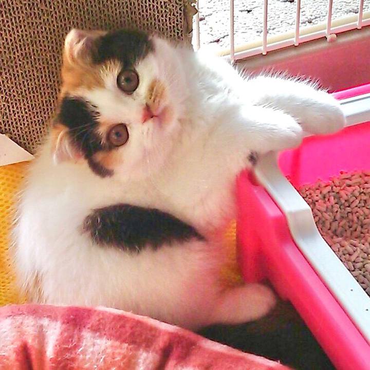 1420d643 d5a0 45d8 9ec9 be5184636e71 1603240672901