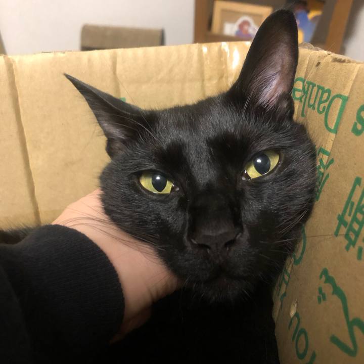 1420dd3e beb5 47b8 be4c d513328b43fa 1655384039010