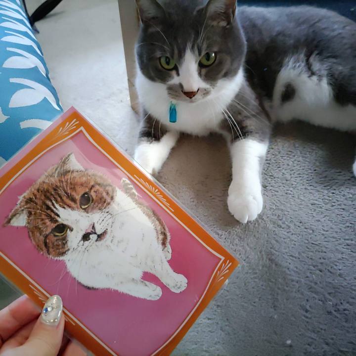 1420f5ba a1f4 49cc b7f5 c10e5dbd6ba4 1726302331353