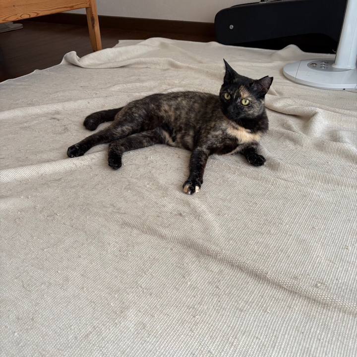 142126fc a7db 4a3b b809 35cee9eedc39 1754220080282