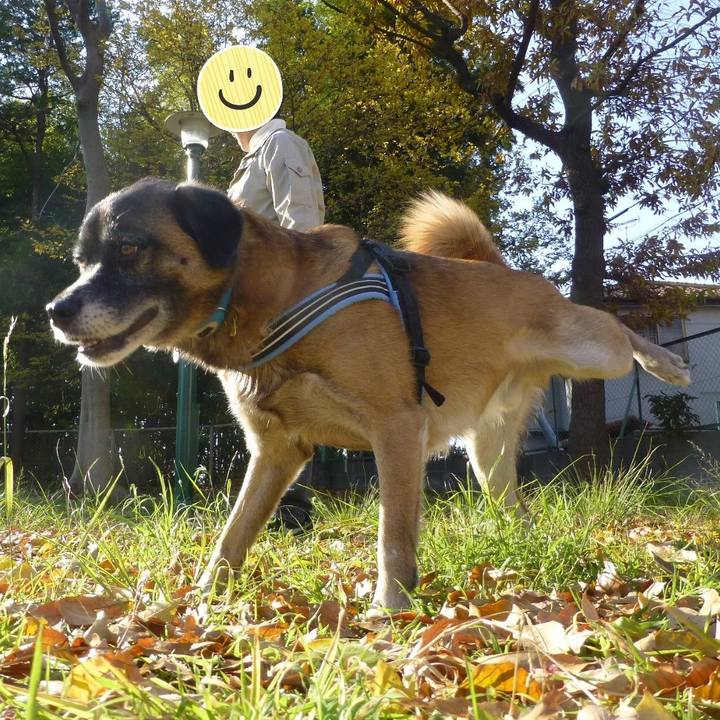 14213668 7625 4496 b1a8 6ffe122fb365 1579306071837