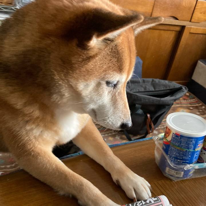 14214bdd 7835 4f38 a337 4c7e6c8e141a 1638159067519