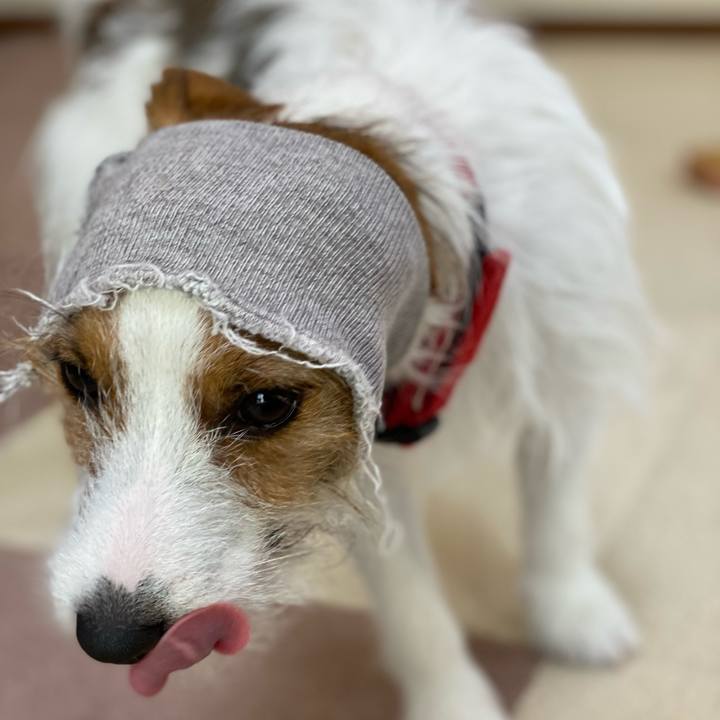 1421d22c d6f1 4f53 b672 165d7aac438f 1644629591092