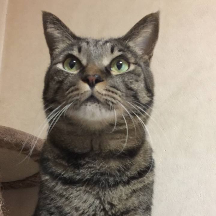 1421e1d2 e9b8 4736 8e8f 968e21a9d46c 1661429477741