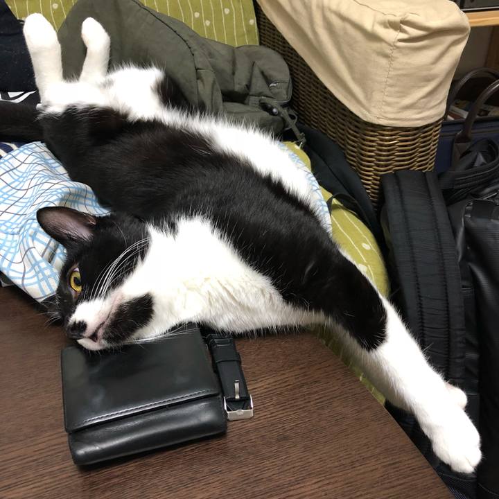 1421e267 1b7f 4078 977f 292c85e39b33 1537952330390