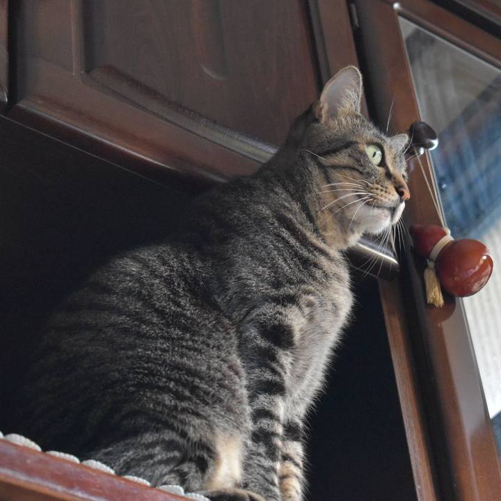 1422050d 0fb0 42e6 9a31 6d2d56ab5788 1567930913251