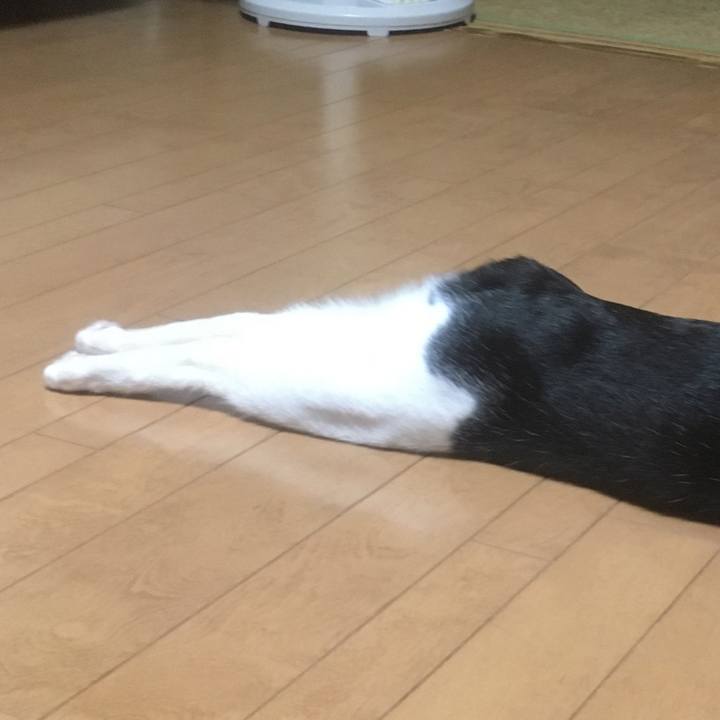 14221856 8a0f 45ea a4fb 1e68f4bdc395 1591537823750