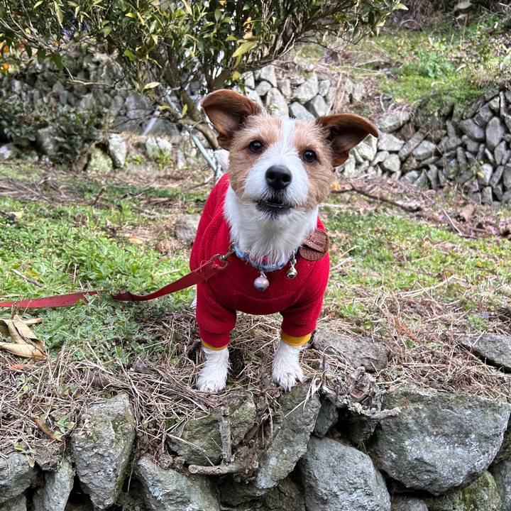 142218ba 546c 4f8d b256 d4b63899b998 1770971531803