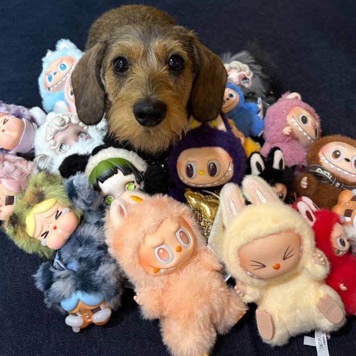 142277af 76f3 4009 afa7 8fdf1f425d3f 1759589719988