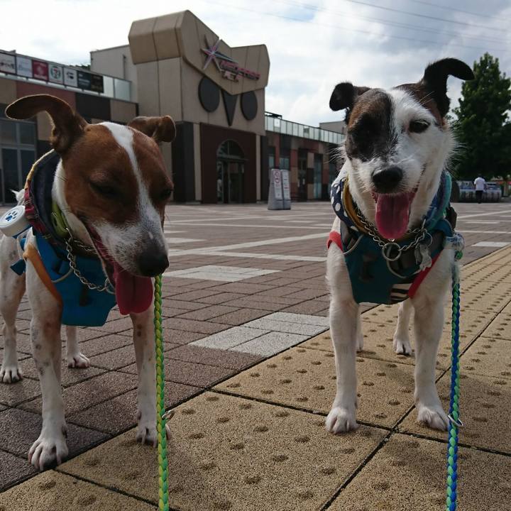 14228d3d b828 4c25 b2ee 03f4f4cf4b6d 1567229311956