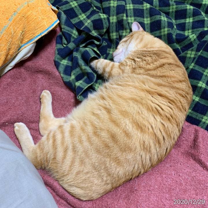 1422a46f 0910 42cb b457 01de425ce0fe 1609252972763