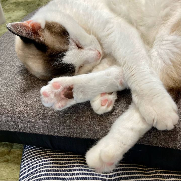 1422b2f6 759e 4704 9c38 bd2d9d44ef81 1655603774051