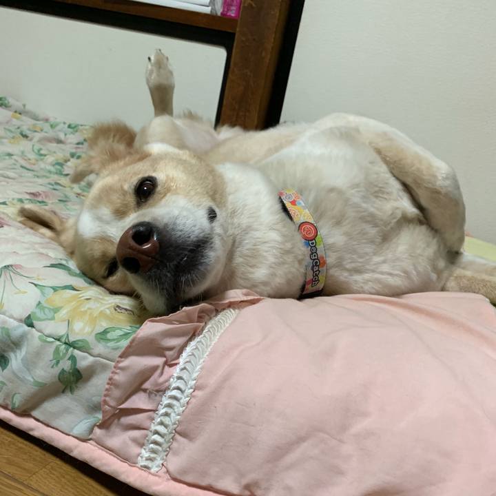 1422c318 c378 4b67 ba81 86a7546f8038 1567513560682