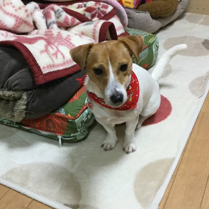 1422d72b 8d7c 400d a2c9 d5712047e6e3 1512548131106