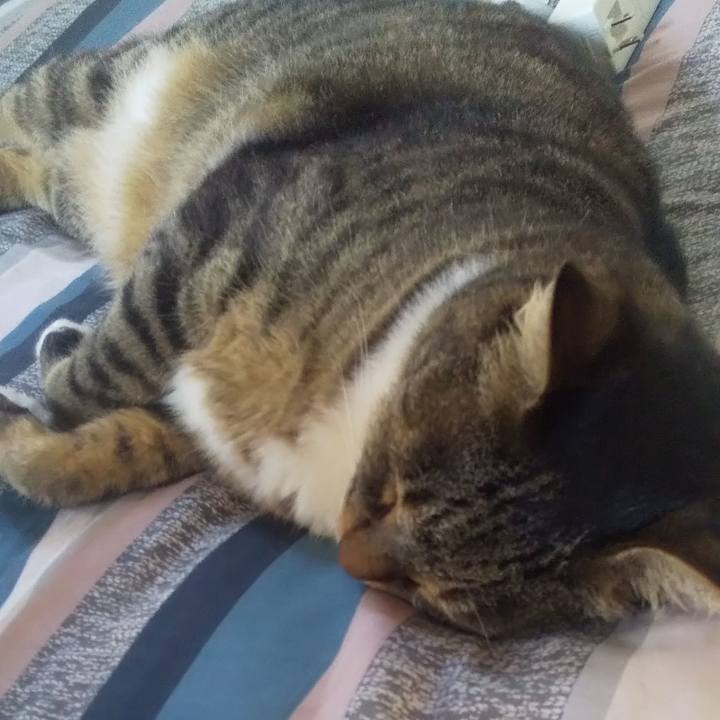 1422fc1c 5b53 4985 8ea5 a3cc492c77bb 1722114978020