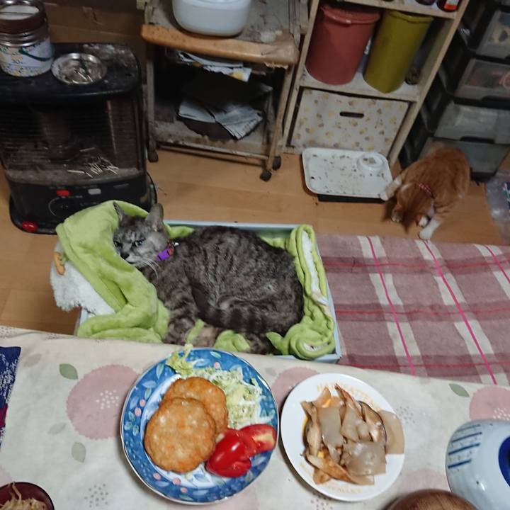 14232ae5 d8ef 4a62 a5d0 a5244cc4fe35 1599050519499