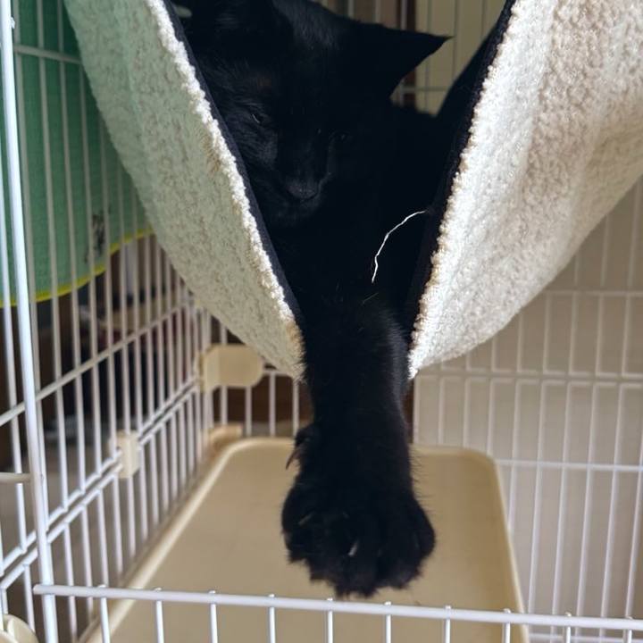 142341b5 c1c8 4e84 bdce 2bde53e1925a 1753496152946