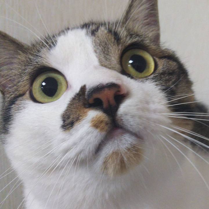 14237f85 553a 40f7 ade7 c87adb24ec2c 1629980566832