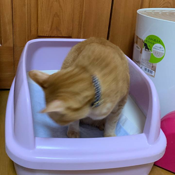 1423898c 98a6 4117 9340 bf5c05f5a64d 1608119132184