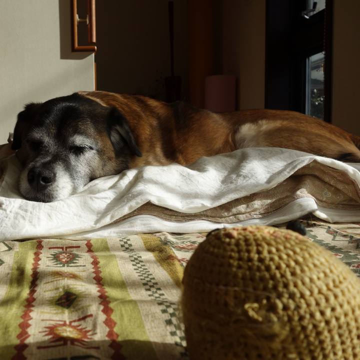 1423bee1 cdde 4844 9728 4047c075359f 1622938728258