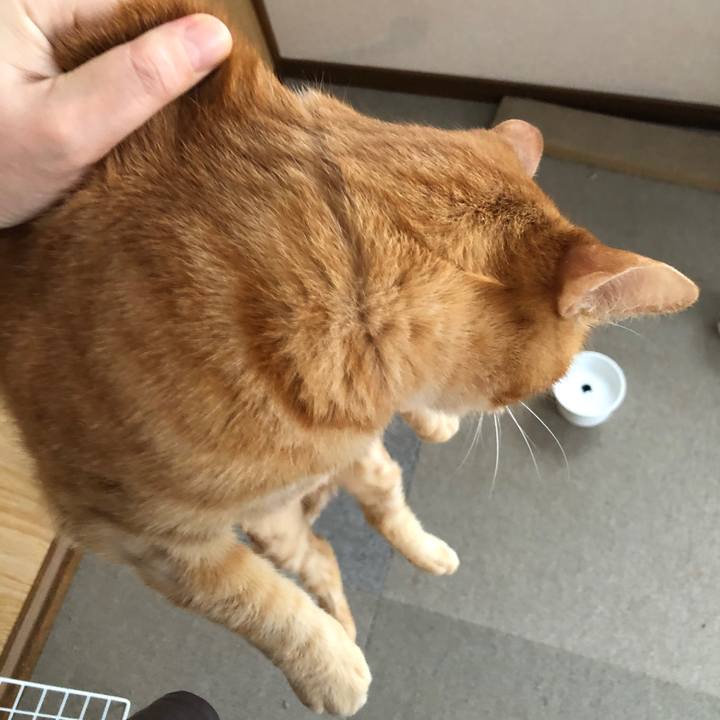 1423cc59 bd49 4486 8da1 dbb80f7ef711 1670713021973