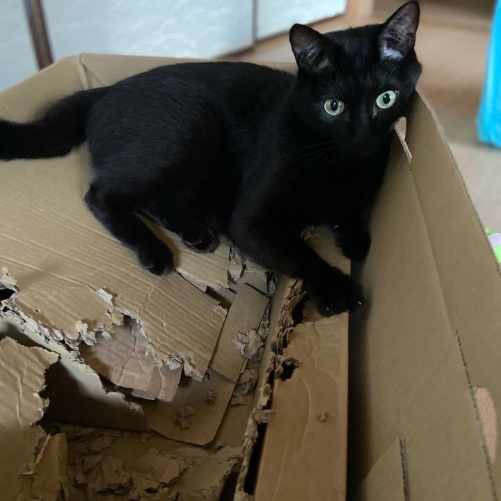 1423d4bb 3ce7 4878 97f0 e18aef05e062 1693135217909