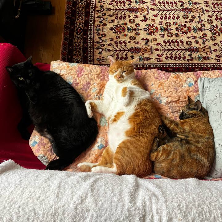 1423eac8 5fe5 4b84 9813 87e25baafa6c 1728356973911