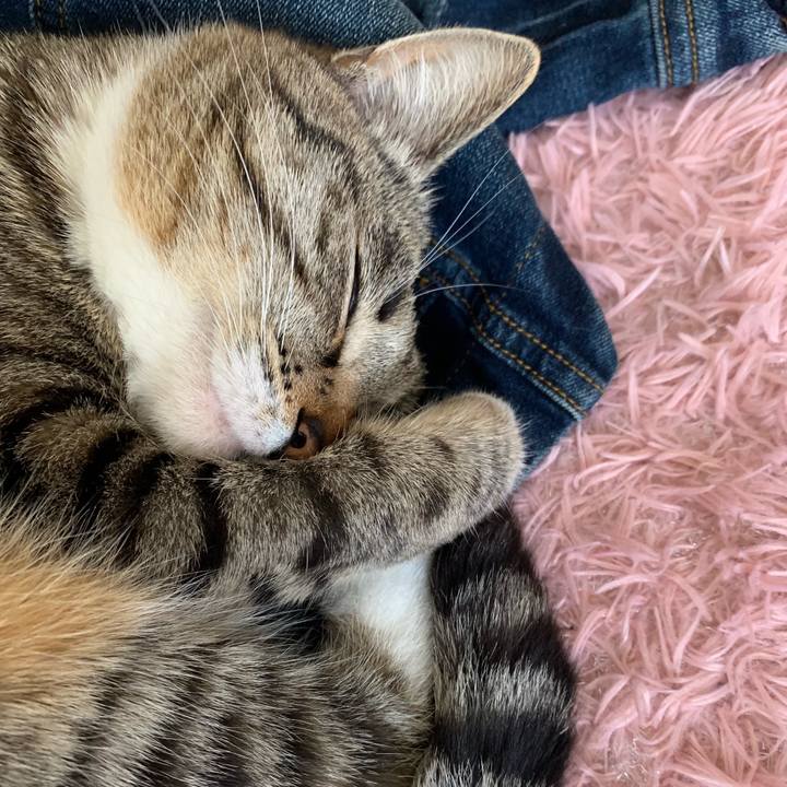 142408e4 cba3 4814 bde3 871ecf8e200f 1555924497572