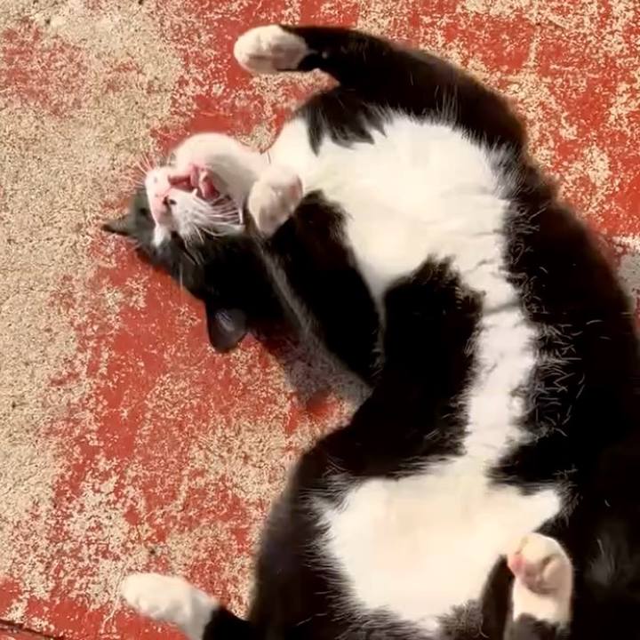 14241180 a637 412a 83af d5a8dd6874f5 1737685207440