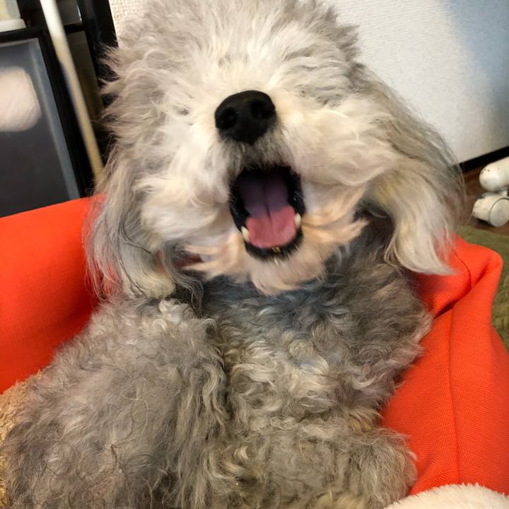 14241c47 793e 4b95 8065 e0729a73d68d 1521760278274