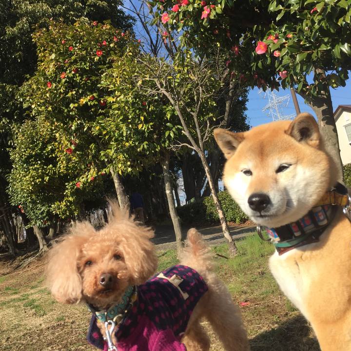 14241c66 98f0 4983 9500 576e756704f8 1520670986009