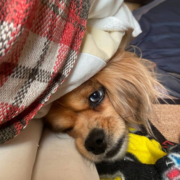 14243aac 4838 42c7 b439 a130396e1462 1581716840982