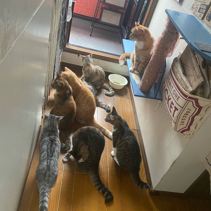 14246015 5bd4 498a 8de3 c2f4ddccf458 1628942901047