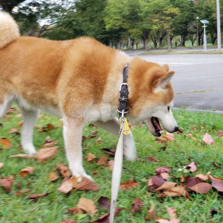 142463ce eeb6 4735 b17e 85ebf4362790 1631776583473