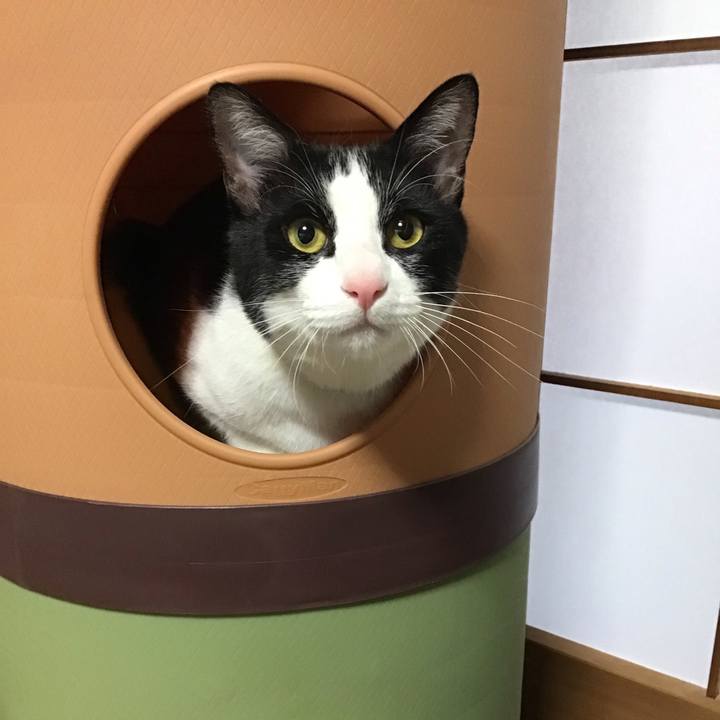 14246446 1ae3 475a 9e55 dec847d3e82d 1650187916323