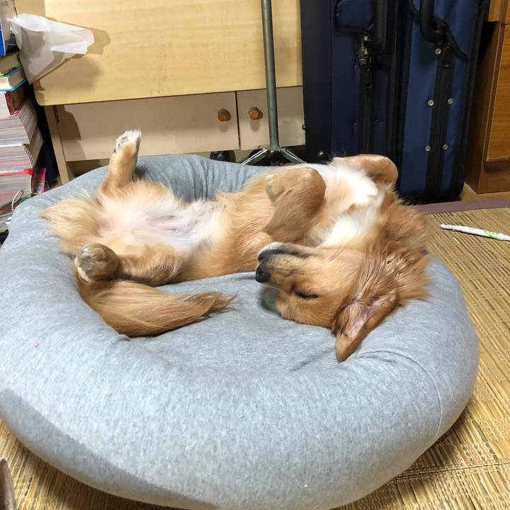 14252c92 dc68 4909 bed5 96cb822ecb54 1511083975903