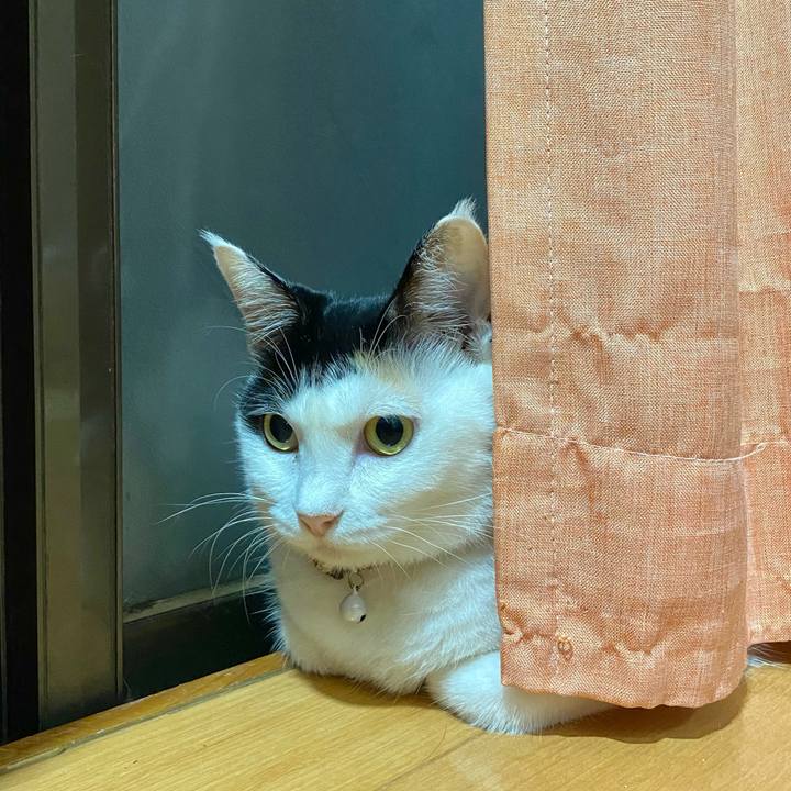 14257ba3 5bee 4d11 b3ed 837552abd6b5 1662650271696