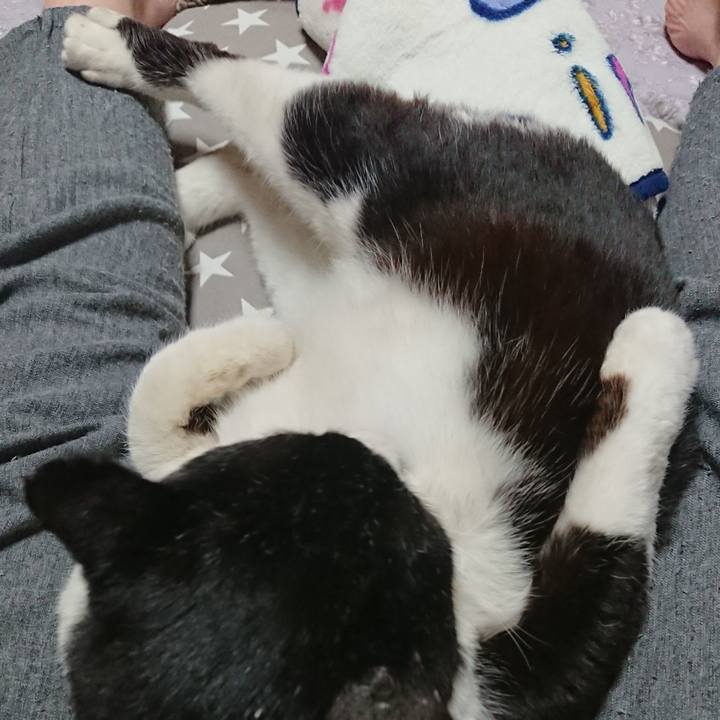 14258de7 592c 4bb3 81e9 9a92ff167326 1585194484156