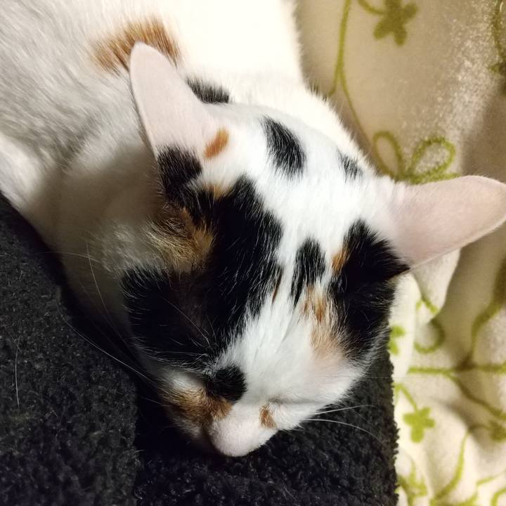 142590ed 4c90 4a93 8635 a07296bcae64 1641300945237