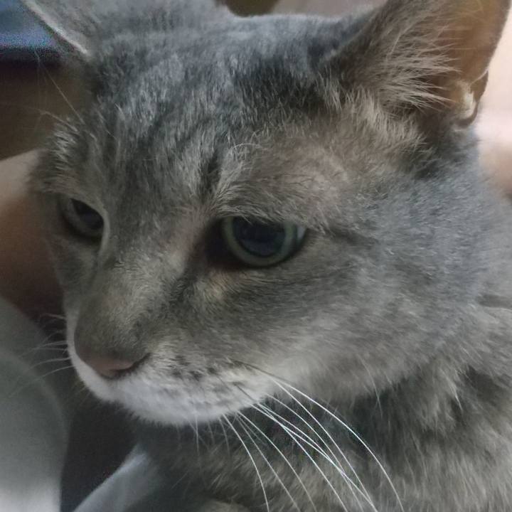 1425d455 6191 455e 85c8 9ec46c70abbc 1652387203125