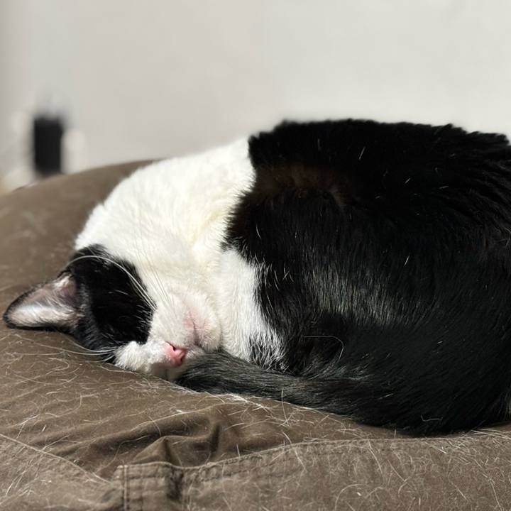 1425f04c 6a78 4816 a262 c95a5dafb93d 1768313247645