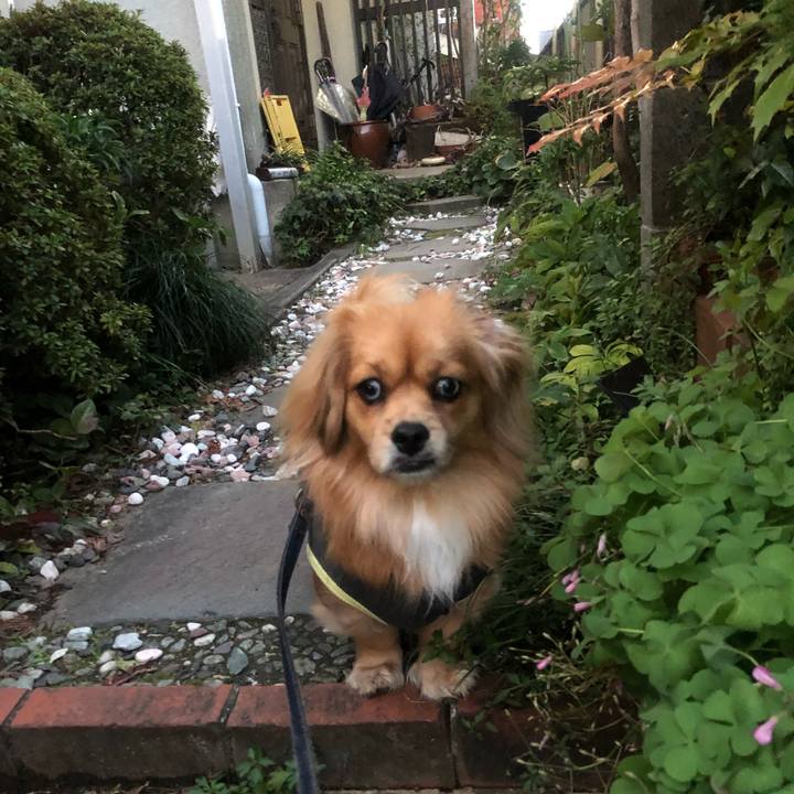 142620a4 167f 44ad b58c db68a48a3c09 1544654846754