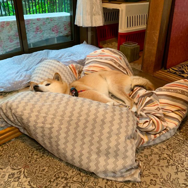 1426483d 250e 4add b0b9 dd5de1211d24 1687510564761