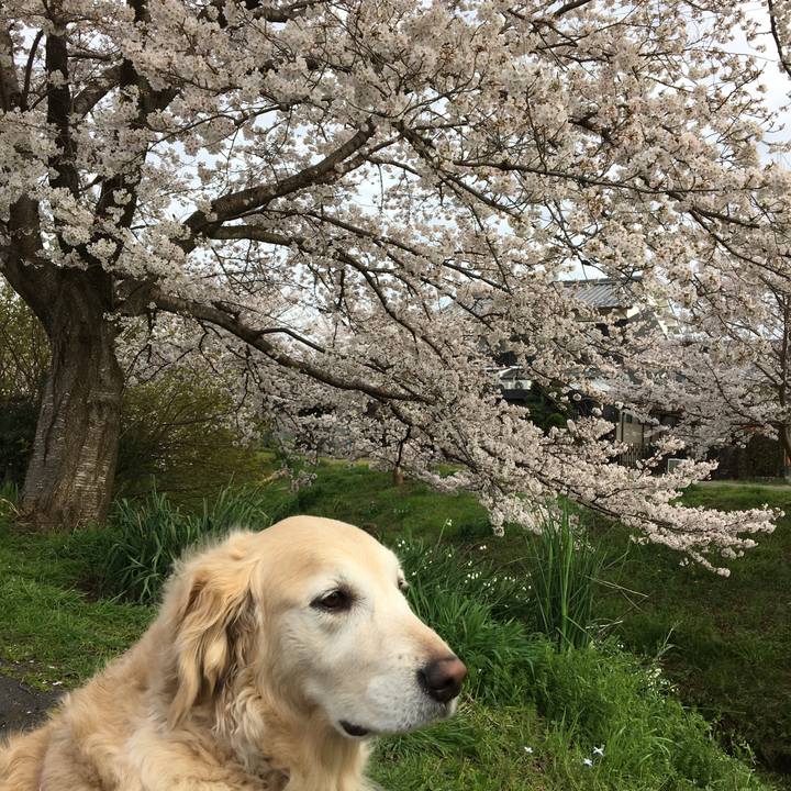 142688cb 7ca9 42f2 b915 6fe4e2af179c 1585656771315