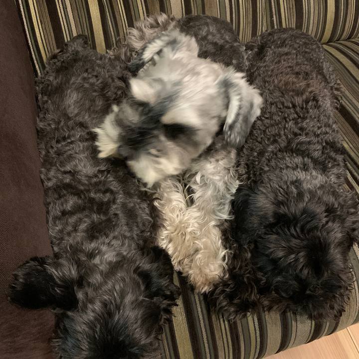 142712a9 5f8a 43a9 8071 a3e0ac1add91 1606208486051