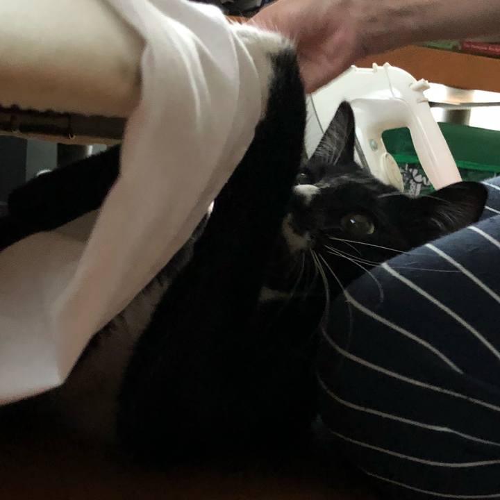 14271d63 7bdb 4738 b6cc fd0d38f09c40 1538019889395